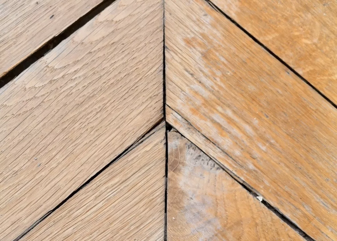 Détail du grain après ponçage